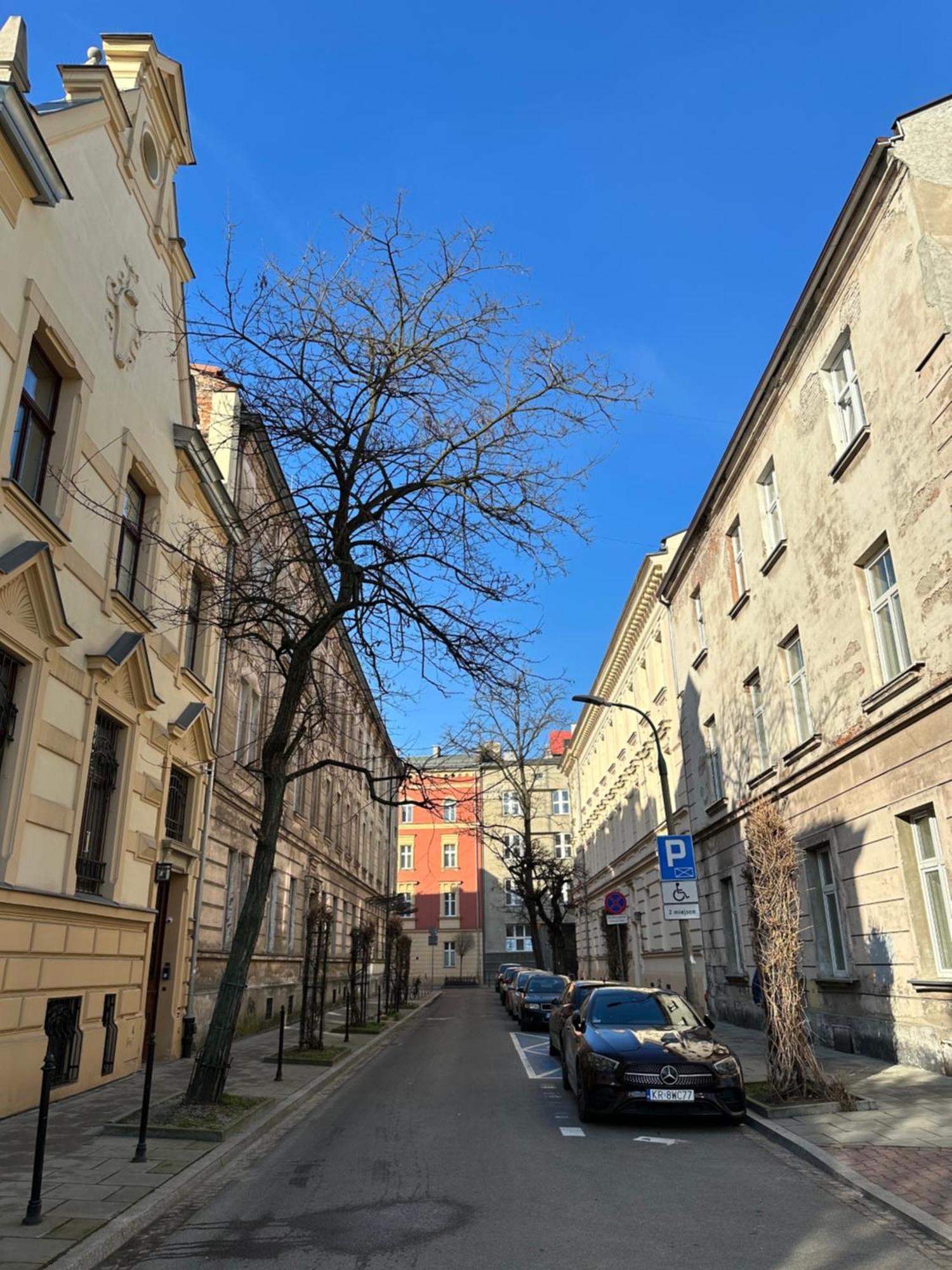 Perfect Place To Stay In Krakow City Center 28M2 W1 ภายนอก รูปภาพ